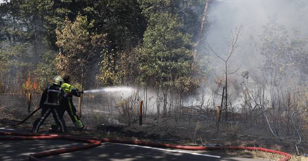 Bosweg in Mill in beide richtingen dicht door bosbrand