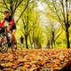 8 miljoen voor verbetering fietsroute Amsterdamse Bos
