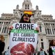 Klimaattop moet de Parijs-akkoorden eindelijk omzetten in daadkrachtig beleid. Maar zal dat wel lukken?
