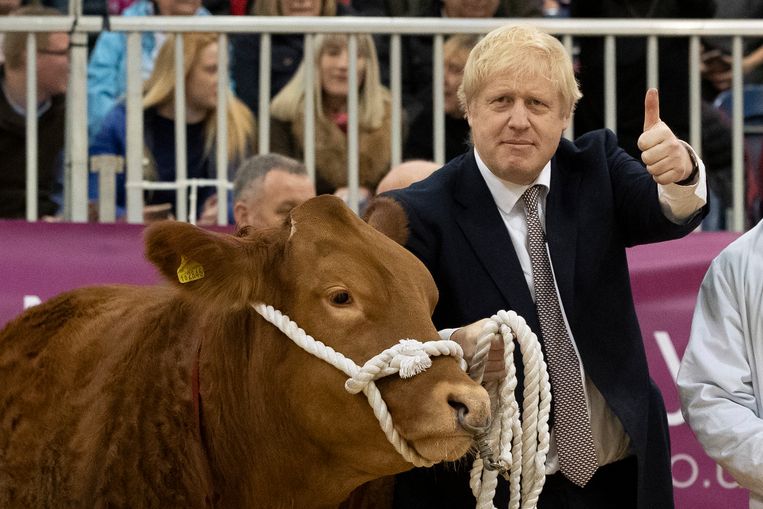 null Beeld Getty Images