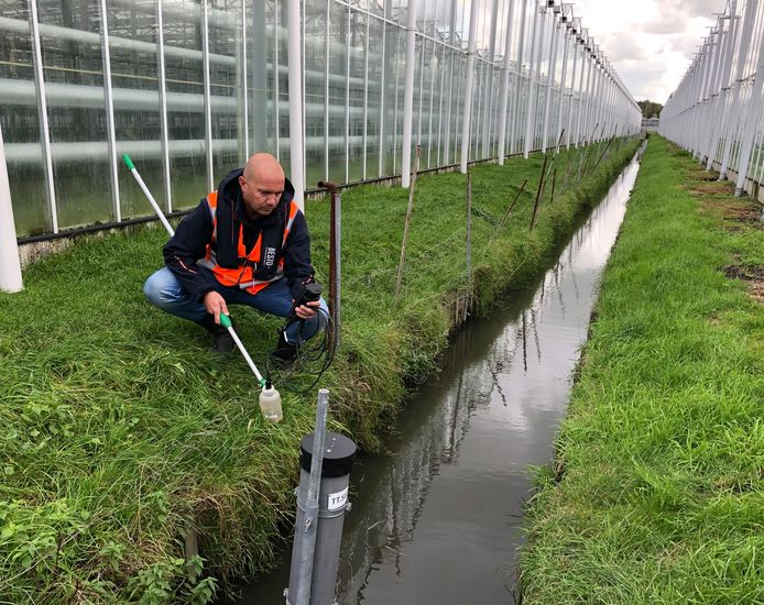 Een medewerker van het Hoogheemraadschap van Delfland meet de waterkwaliteit tussen de kassen.