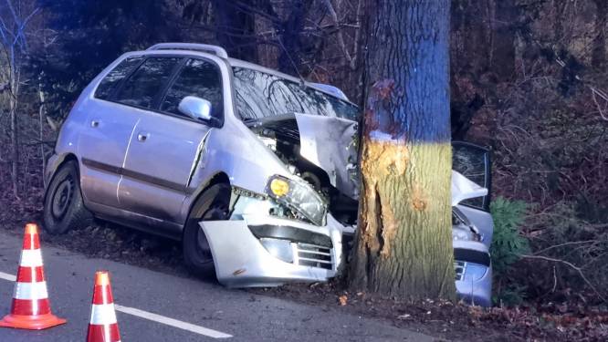 Twee gewonden nadat auto frontaal tegen boom rijdt bij Winterswijk