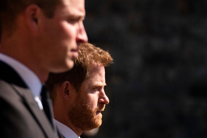 Prinsen William en Harry.
