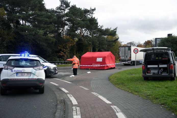 De fietsster kwam om in Rotselaar.