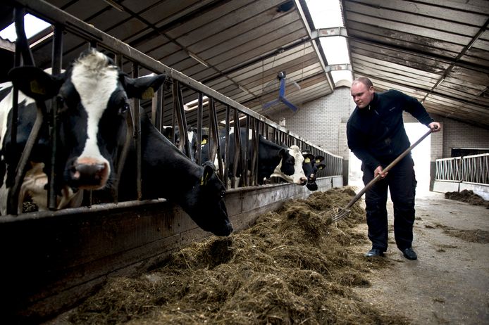 Richard Vedder won in 2012 een LTO-prijs gewonnen voor duurzame ideeën en is nu met enkele Bunschotense agrariërs benaderd voor zonnevelden op zijn weiland.