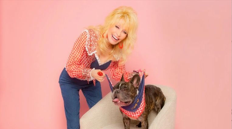 Dolly Parton komt met een speciale kledinglijn voor honden: Doggy Parton
 Beeld Doggy Parton