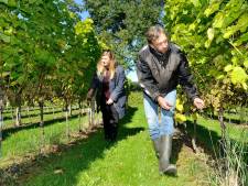 Als God in Nijkerk aan de Breede Beek