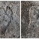 Antieke voetstappen gevonden in Israël