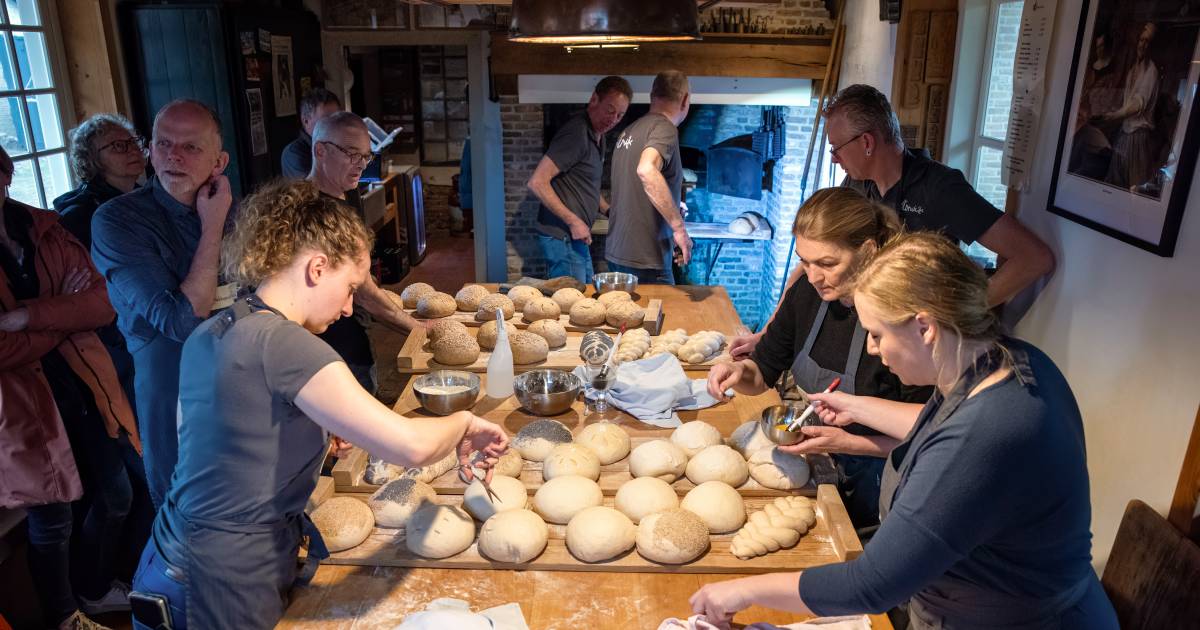 Drie kwartier in de rij voor kakelvers brood: ‘Iedereen zou ons kierewiet noemen, maar het is het wa