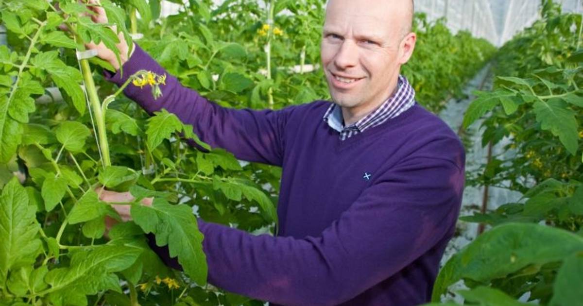 Volop innovatie in de glastuinbouw | Schouwen-Duiveland