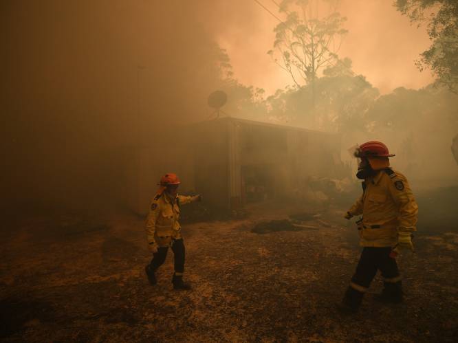 ‘Megabrand’ bij Sydney: acht brandhaarden samengekomen