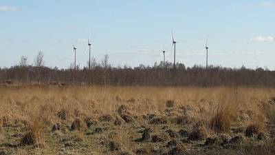 ‘Confronterende’ windmolens bij natuurwandelingen in grensgebied