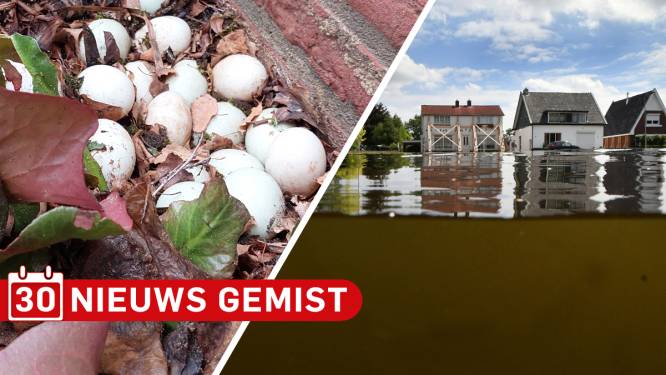 Gemist? Mysterie bij huis in Rijssen & een ontluisterend inkijkje achter de voordeuren bij Twents kanaal