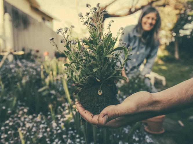 Met deze 7 tips gaat onze tuinjournaliste de strijd aan met de droogte