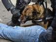 Agent die politiehond Vito in been coronademonstrant liet bijten wordt niet vervolgd