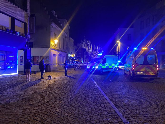 MECHELEN - Meteen na de steekpartij kwamen de hulpdiensten massaal ter plaatse. De politie stelde een perimeter in.