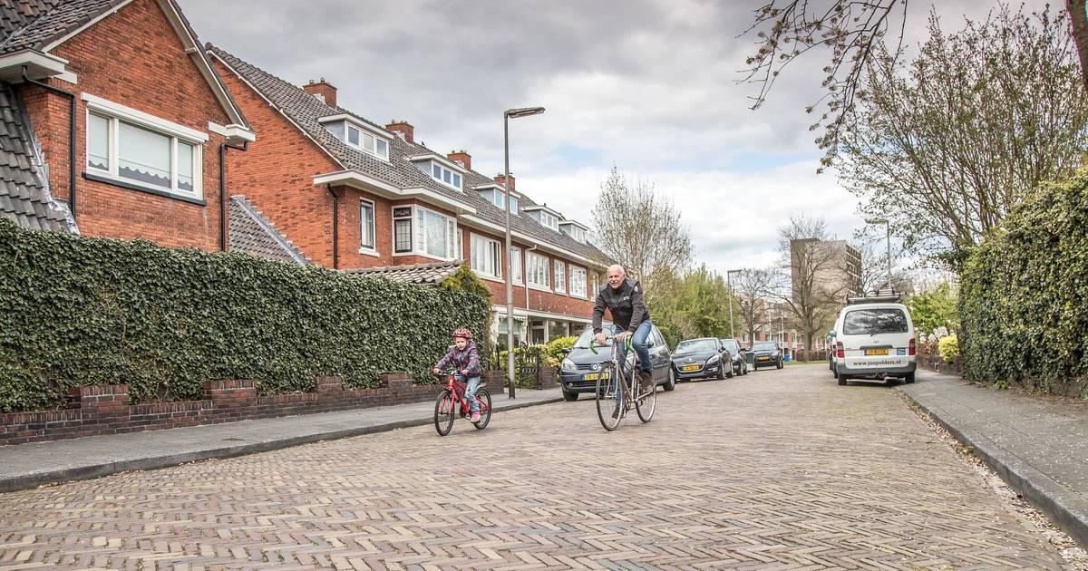 Het is goed toeven in de Wipstrik | Zwolle