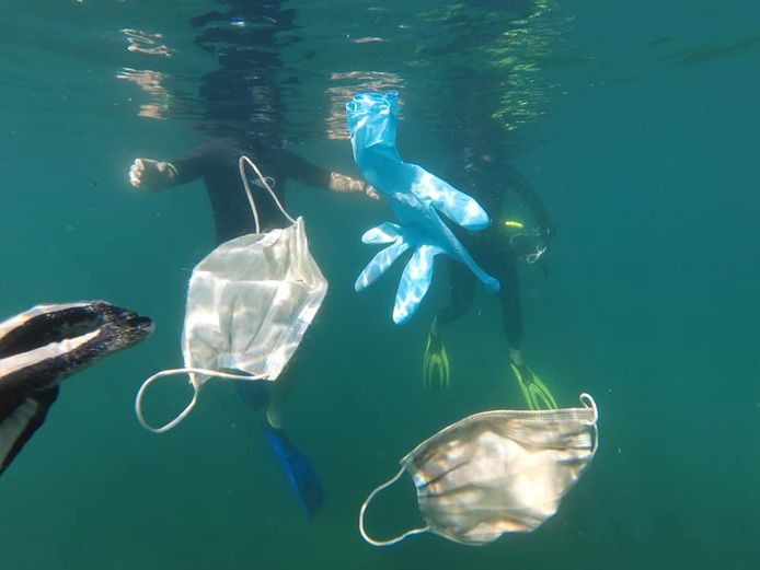 Milieuorganisaties slaan alarm om &#39;corona-afval&#39; in oceanen | Milieu |  hln.be