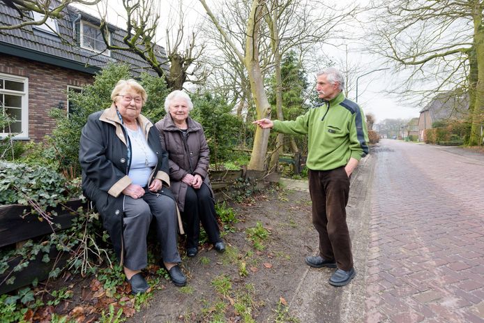 Van links naar rechts: Gonny Sophie-Verberne, Drieka de Lepper en Huub van Leuken.