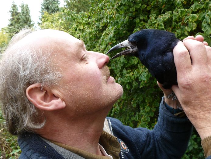 Hanno van der Meulen uit Lochem met een van zijn getroubleerde vogels.