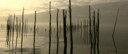 Beeldmateriaal film.