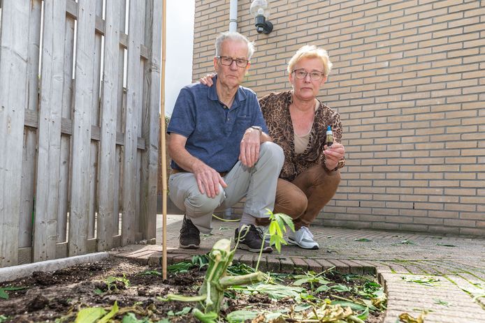 Jan en Jannie krijgen van wildvreemden wietolie en zakken met wiet