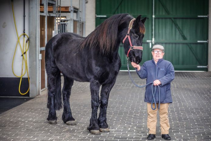 De paarden van Mark Wentein krijgen nu aangepaste voeding om de coronakilo's in de hand te houden.