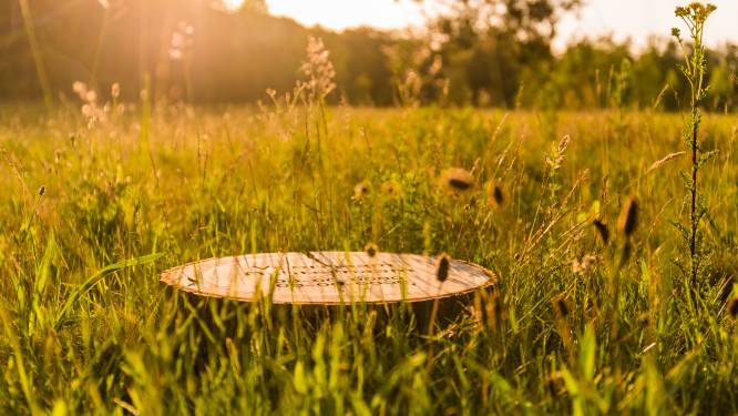 4000 plaatsen voor natuurbegraven in Hooge Heide