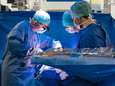 Belgische primeur: tweejarige peuter ondergaat gelijktijdige transplantatie van vier buikorganen