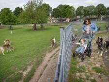 Kan Paul straks nog naar de hertjes om de hoek? ‘We willen dit plan een halt toeroepen’