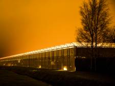 Bioloog: ‘Lichtvervuiling schaadt de natuur en is slecht voor de mens’