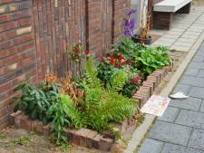 Tips, voorwaarden en meer: alles wat je wil weten over een geveltuin in Helmond