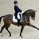 Paardensport worstelt met kritiek: lijden de dieren niet?