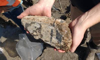 Archeologische vondsten? Wen er maar aan!