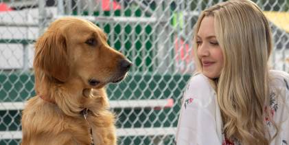 The Art of Racing in the Rain