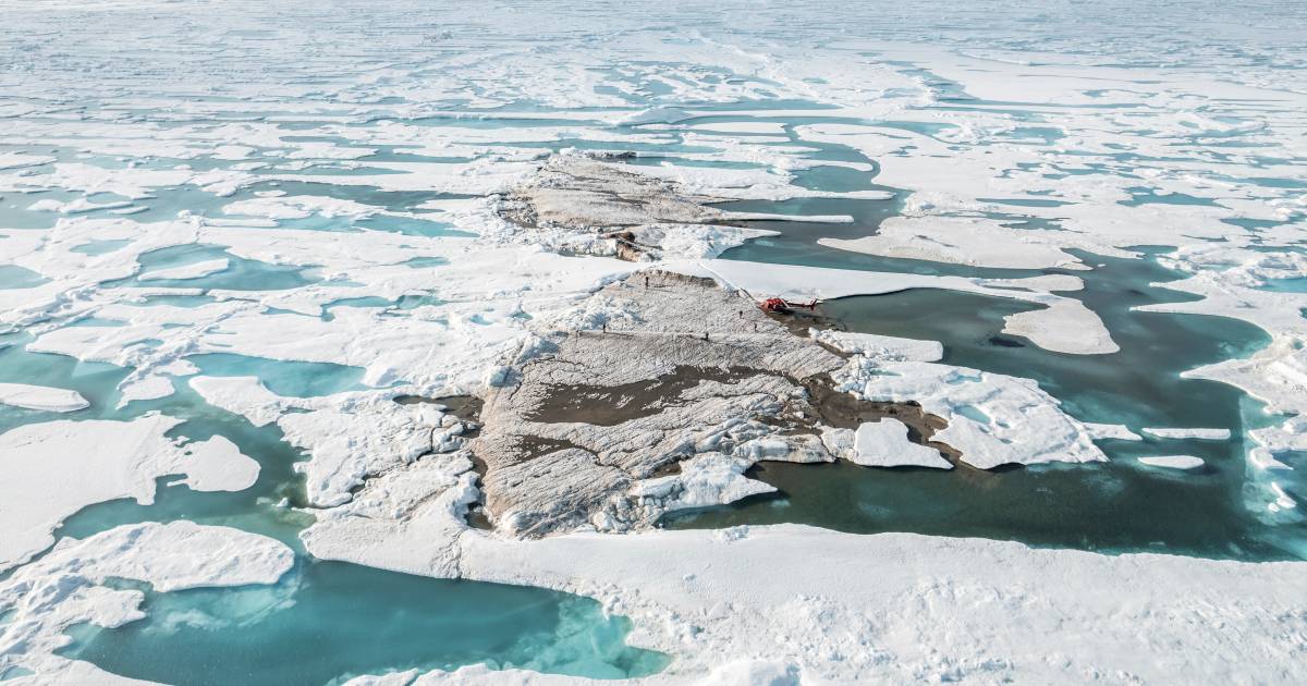La spedizione in Groenlandia scopre per caso un’isola nell’estremo nord del mondo |  Scienza
