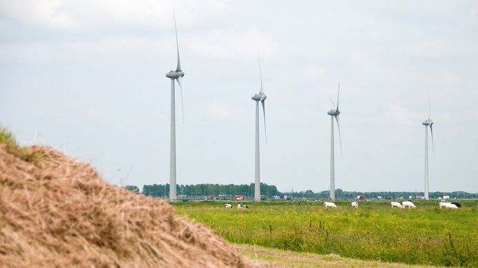 De vier windturbines bij Echteld