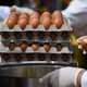Kamer hekelt optreden voedselautoriteit in eiercrisis