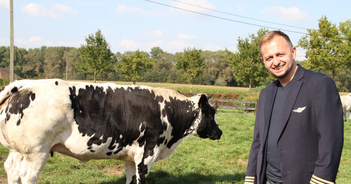 Plots wil iedereen een stukje koe online kopen: het gaat loeihard voor deeleenkoe.be ...