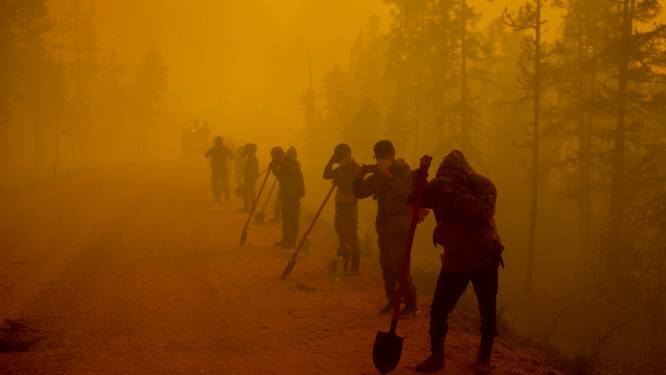 Recordbranden in Siberië: gevaar voor het klimaat en beschermde natuur, waarschuwt WNF