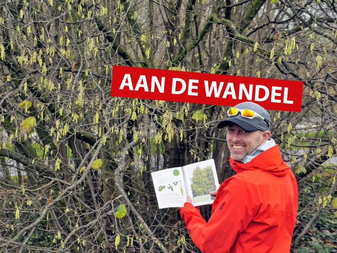 Ook als je nog geen berk van een beukenboom kan onderscheiden is deze wandeling door Mijdrecht interessant.