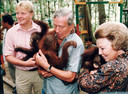 Toenmalig prins Willem-Alexander, Prins Claus en Koningin Beatrix adopteren een orang-oetan tijdens hun bezoek aan Indonesië.