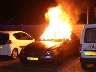 Zeer onrustige nacht in Gelderland met tientallen branden, politie gaat uit van opzet