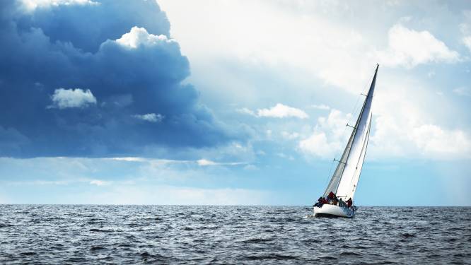 Zeilboot zinkt binnen kwartier na aanvaring met walvis, bemanning na 10 uur gered