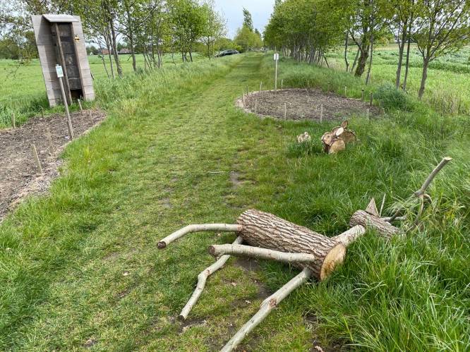 Vandalen vernielen houten herten in dreef Wagmeire