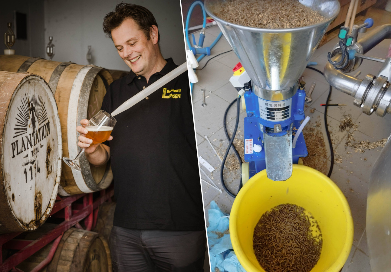 Brouwerij Leysen gebruikt bierdraf om pellets van te maken: “Zo ...