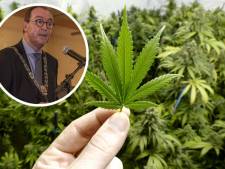 Primeur: rechtbank draait woningsluiting in Terneuzen terug, 40 wietplanten waren voor eigen gebruik