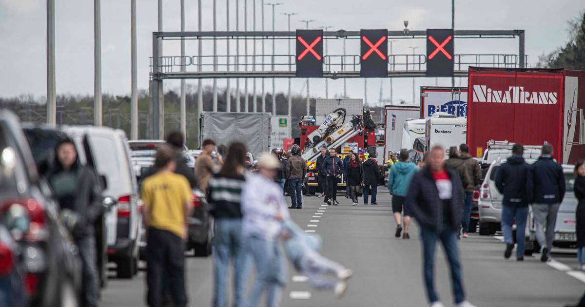 Twee doden na ongeval op E19 België, chauffeur onder invloed van drugs - Telegraaf.nl.