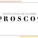 Weekhoroscoop: Steenbok, eigen succes is niet langer genoeg