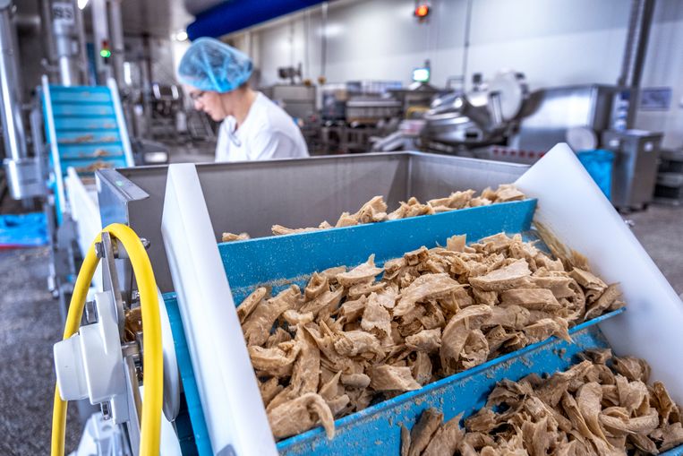 De productie van de vegetarische 'kipstuckjes' bij de fabriek van De Vegetarische Slager in Breda.   Beeld Foto Raymond Rutting / de Volkskrant
